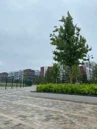 zhanibek kassymkan