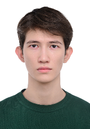Arsen Zinel